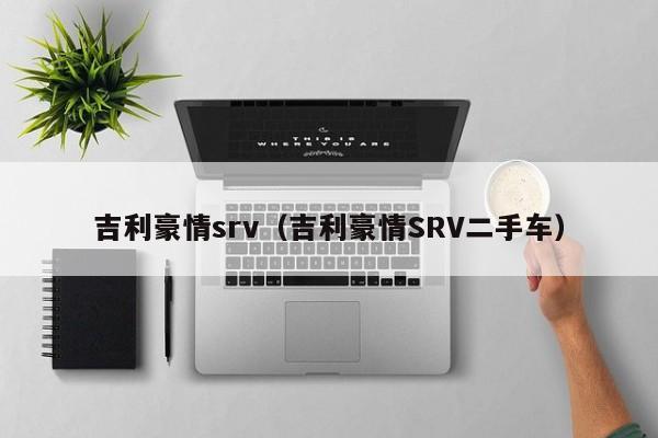 吉利豪情srv（吉利豪情SRV二手车）