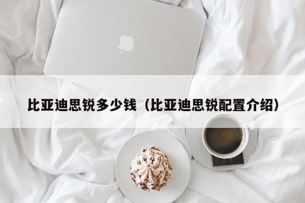 比亚迪思锐多少钱（比亚迪思锐配置介绍）