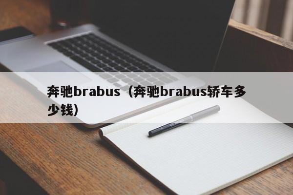 奔驰brabus（奔驰brabus轿车多少钱）