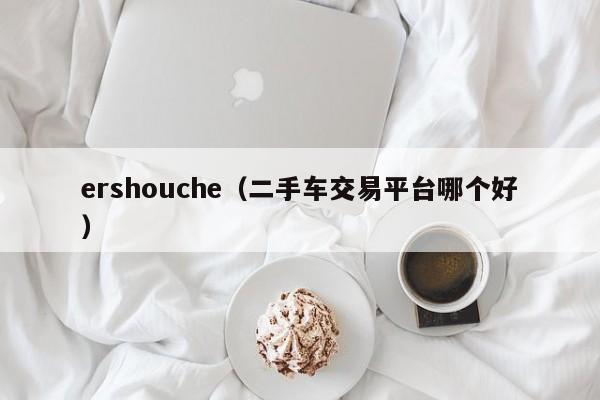 ershouche（二手车交易平台哪个好）