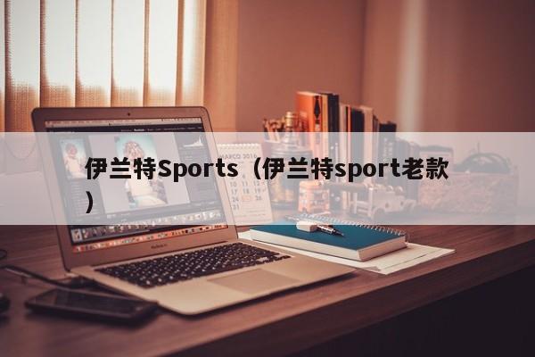 伊兰特Sports（伊兰特sport老款）