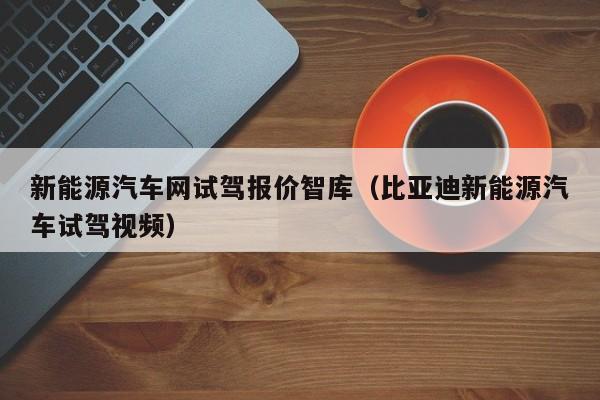 新能源汽车网试驾报价智库（比亚迪新能源汽车试驾视频）