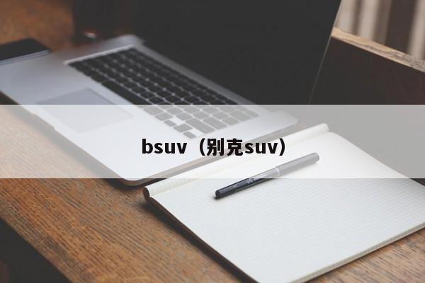 bsuv（别克suv）