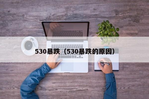 530暴跌（530暴跌的原因）