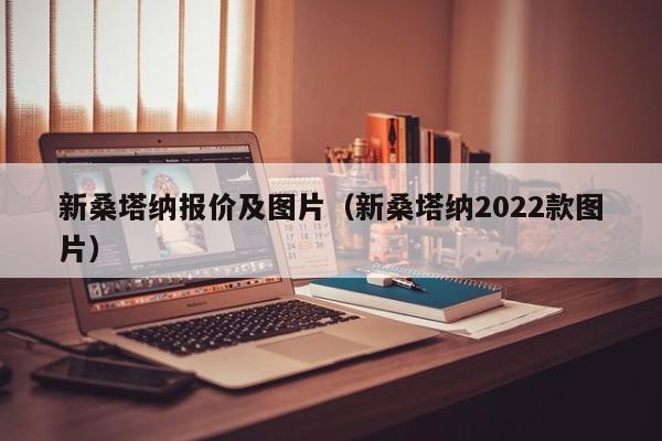 新桑塔纳报价及图片（新桑塔纳2022款图片）