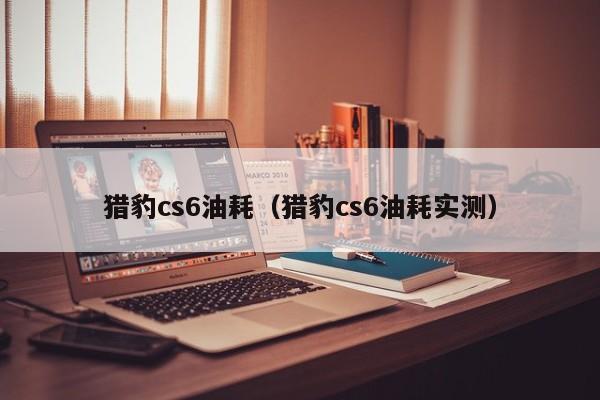 猎豹cs6油耗（猎豹cs6油耗实测）