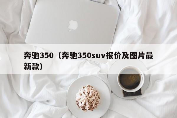 奔驰350（奔驰350suv报价及图片最新款）