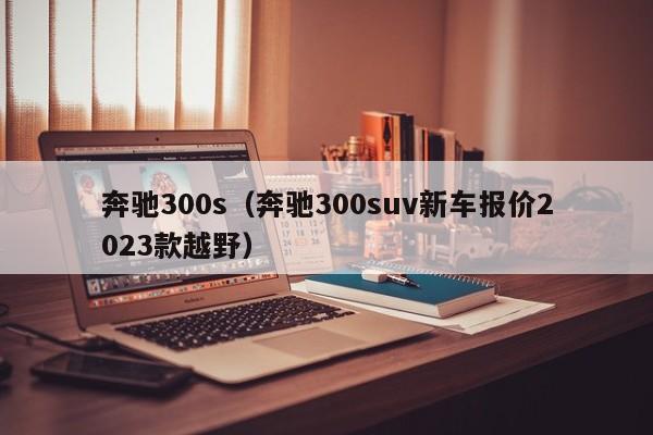 奔驰300s（奔驰300suv新车报价2023款越野）