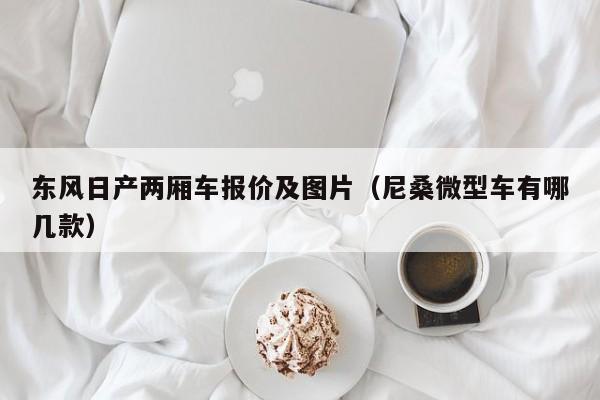 东风日产两厢车报价及图片（尼桑微型车有哪几款）