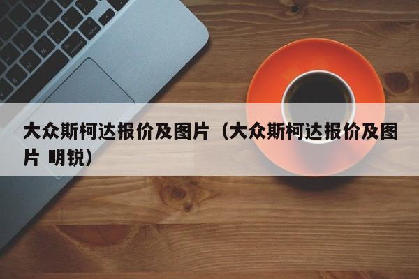 大众斯柯达报价及图片（大众斯柯达报价及图片 明锐）