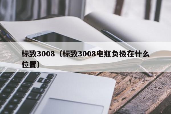 标致3008（标致3008电瓶负极在什么位置）