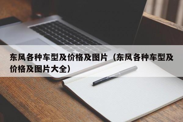 东风各种车型及价格及图片（东风各种车型及价格及图片大全）