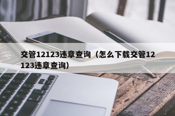 交管12123违章查询（怎么下载交管12123违章查询）