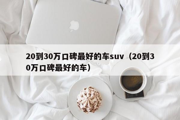 20到30万口碑最好的车suv（20到30万口碑最好的车）