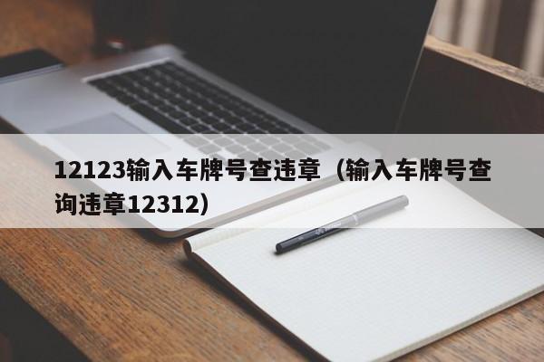 12123输入车牌号查违章（输入车牌号查询违章12312）