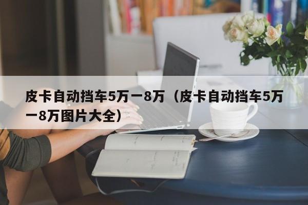 皮卡自动挡车5万一8万（皮卡自动挡车5万一8万图片大全）