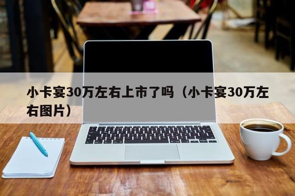 小卡宴30万左右上市了吗（小卡宴30万左右图片）