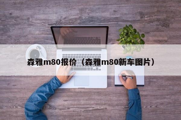 森雅m80报价（森雅m80新车图片）