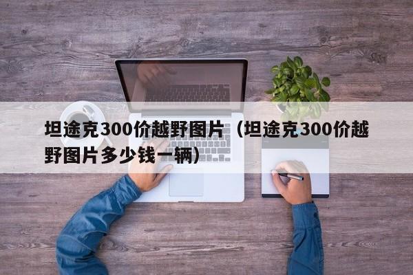 坦途克300价越野图片（坦途克300价越野图片多少钱一辆）