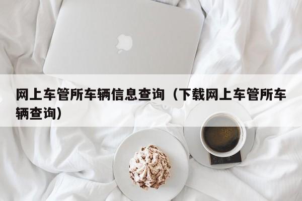 网上车管所车辆信息查询（下载网上车管所车辆查询）