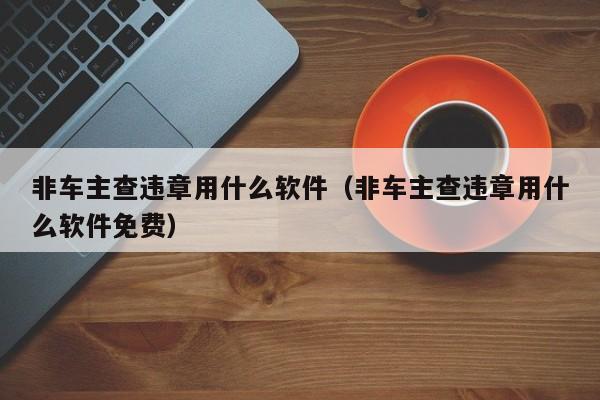 非车主查违章用什么软件（非车主查违章用什么软件免费）