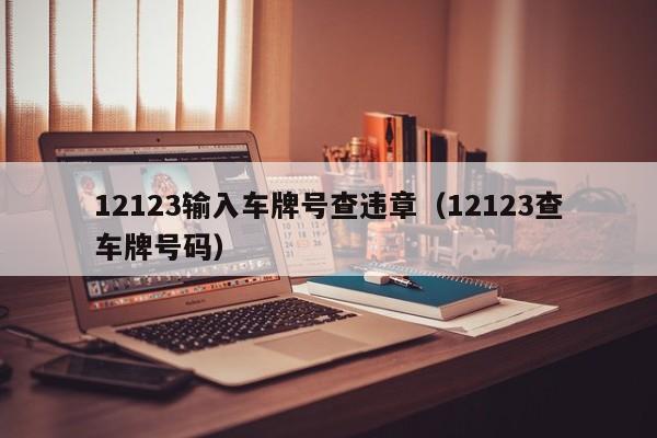 12123输入车牌号查违章（12123查车牌号码）