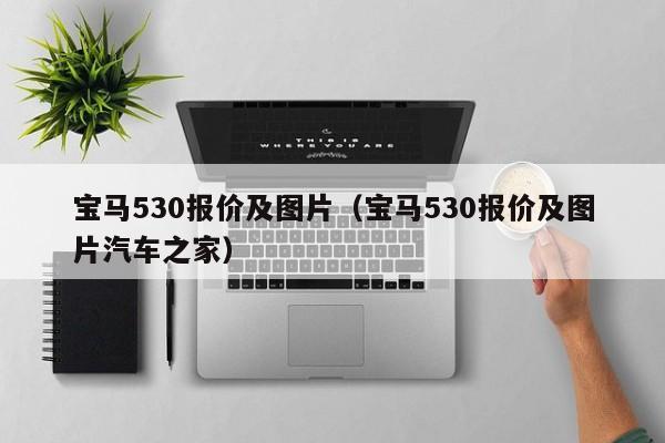 宝马530报价及图片（宝马530报价及图片汽车之家）