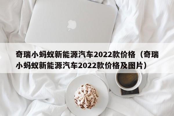 奇瑞小蚂蚁新能源汽车2022款价格（奇瑞小蚂蚁新能源汽车2022款价格及图片）