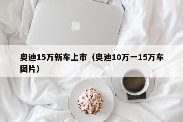 奥迪15万新车上市（奥迪10万一15万车图片）